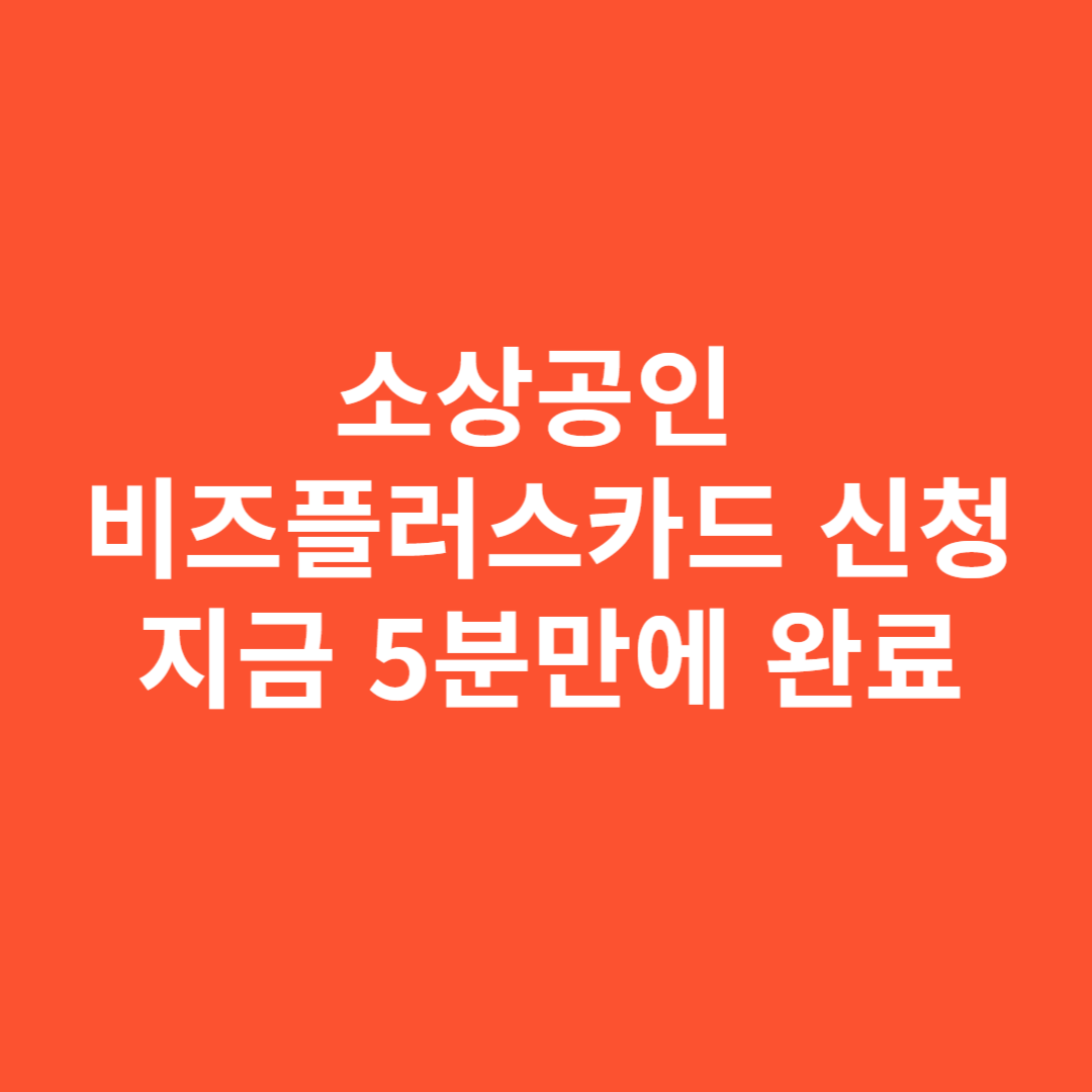 소상공인 비즈플러스카드 신청 지금 5분만에 완료