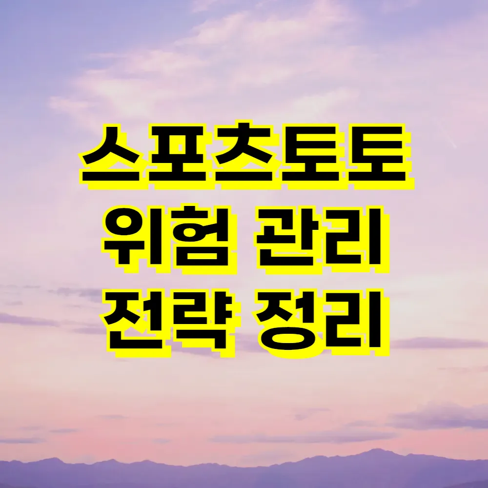 스포츠토토 위험 관리 전략 정리