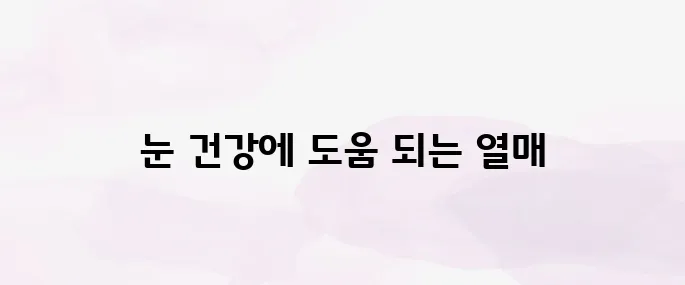 블랙커런트 효능│눈 건강·항산화에 좋은 수퍼베리 정리