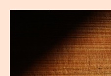 장이 부었을때 증상