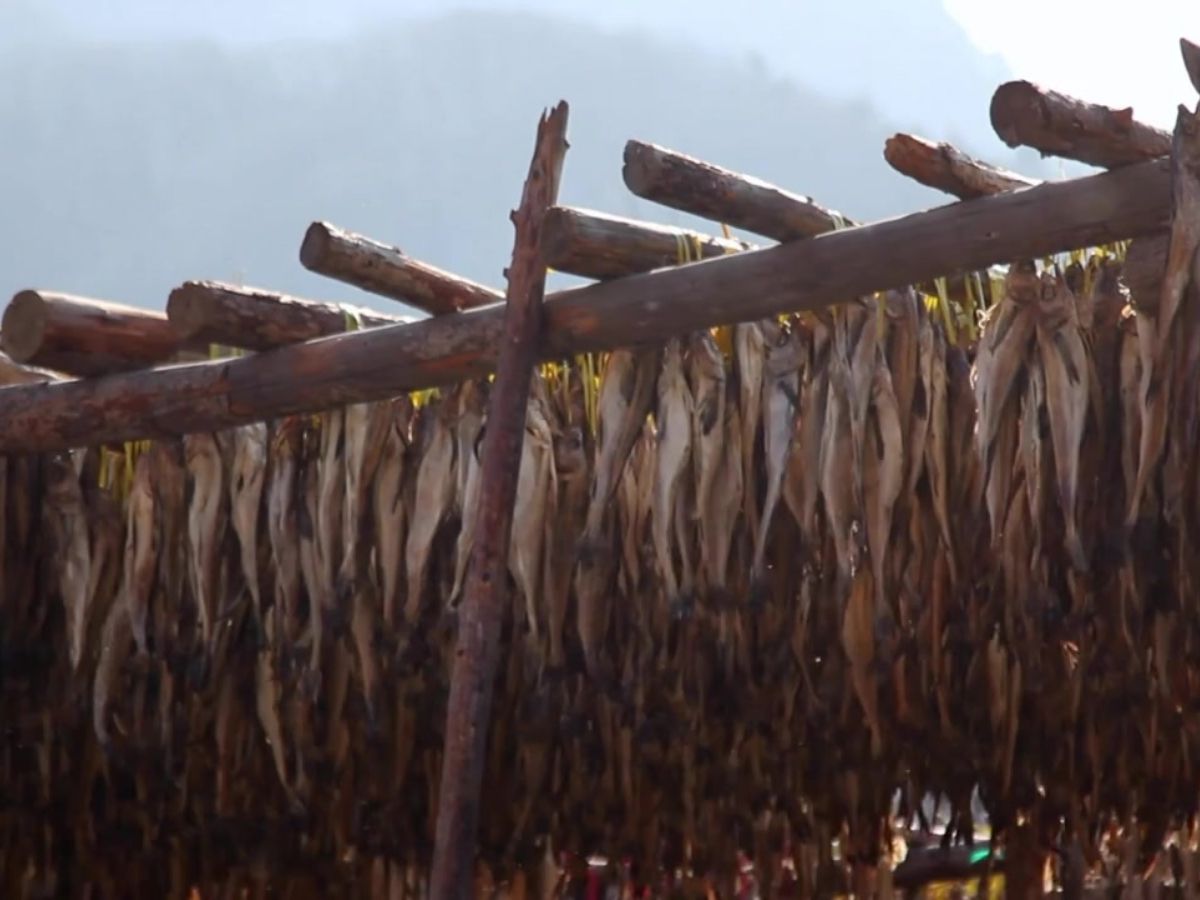 먹태 이름 종류