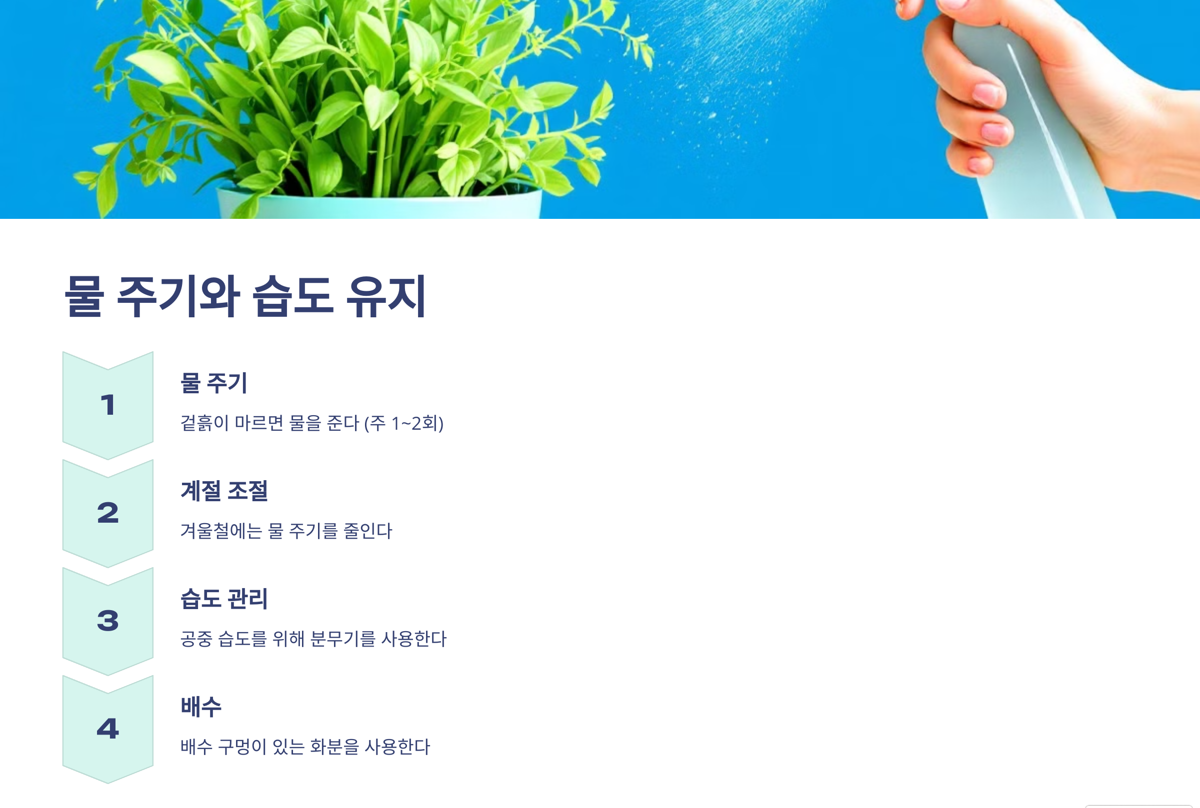 아스파라거스 나누스