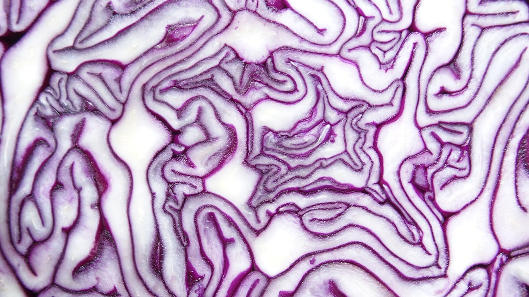 Probiotic