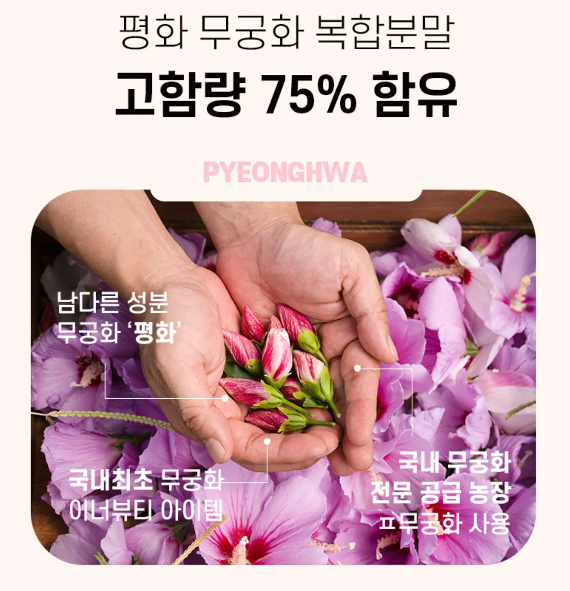 핵심 성분 설명 이미지 2
