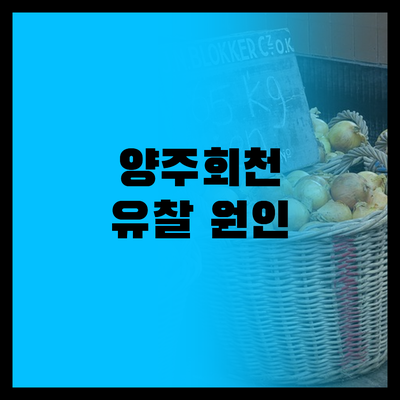 LH 양주회천 복합용지 유찰 심층 분..