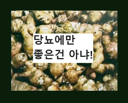돼지감자
