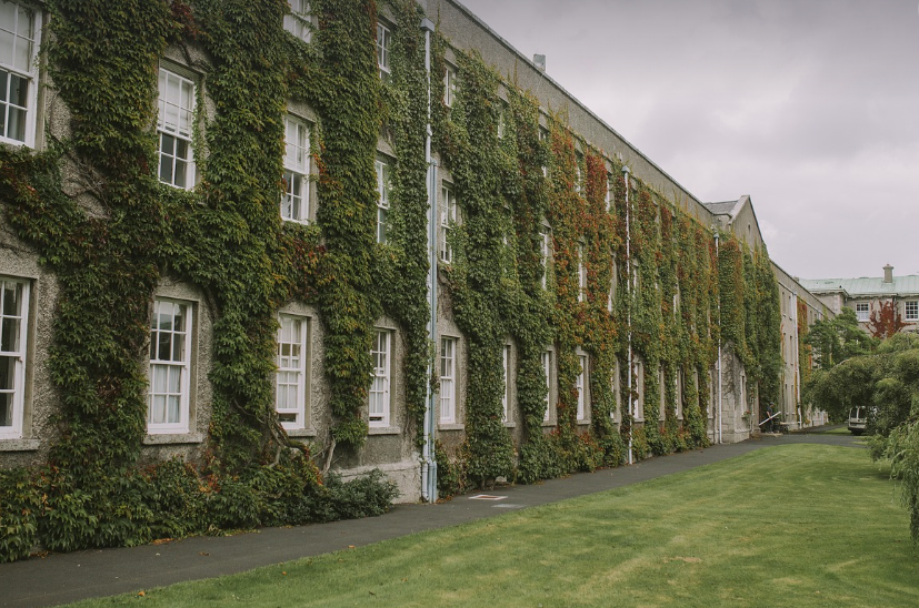 내신4등급 논술전형 관련 사진