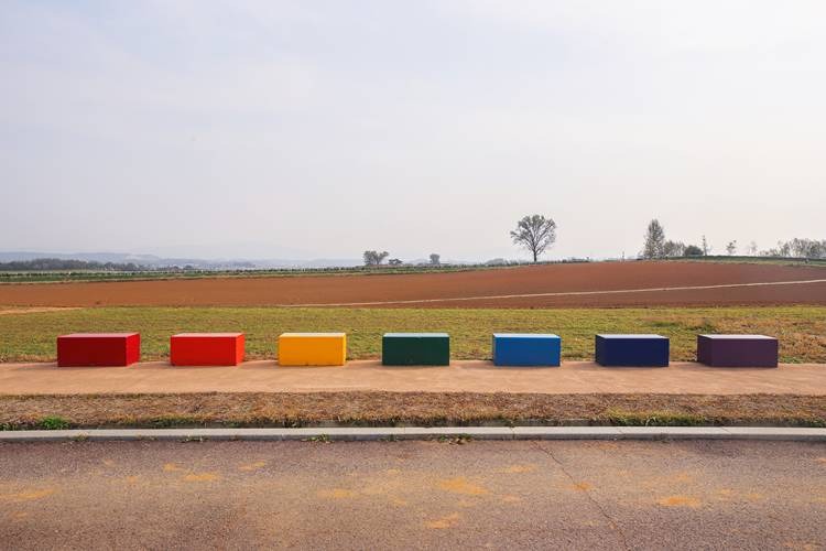 안성팜랜드 코스모스 꽃구경