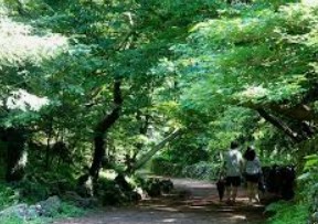 제주 2박 3일 핫플레이스