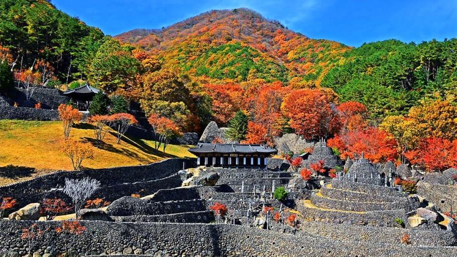 하동 삼성궁 단풍 절정시기 및 주차, 맛집, 주변명소 사진