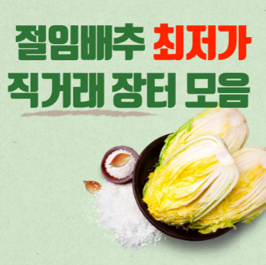 배추, 절임배추 싸게 사는 산지직송 & 직거래 장터 리스트 총정리