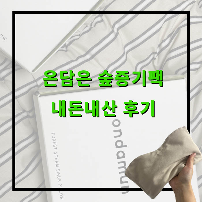 온담은 숲증기팩 내돈내산 후기
