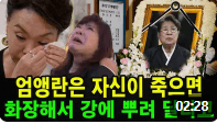 엄앵란 죽음 가짜뉴스