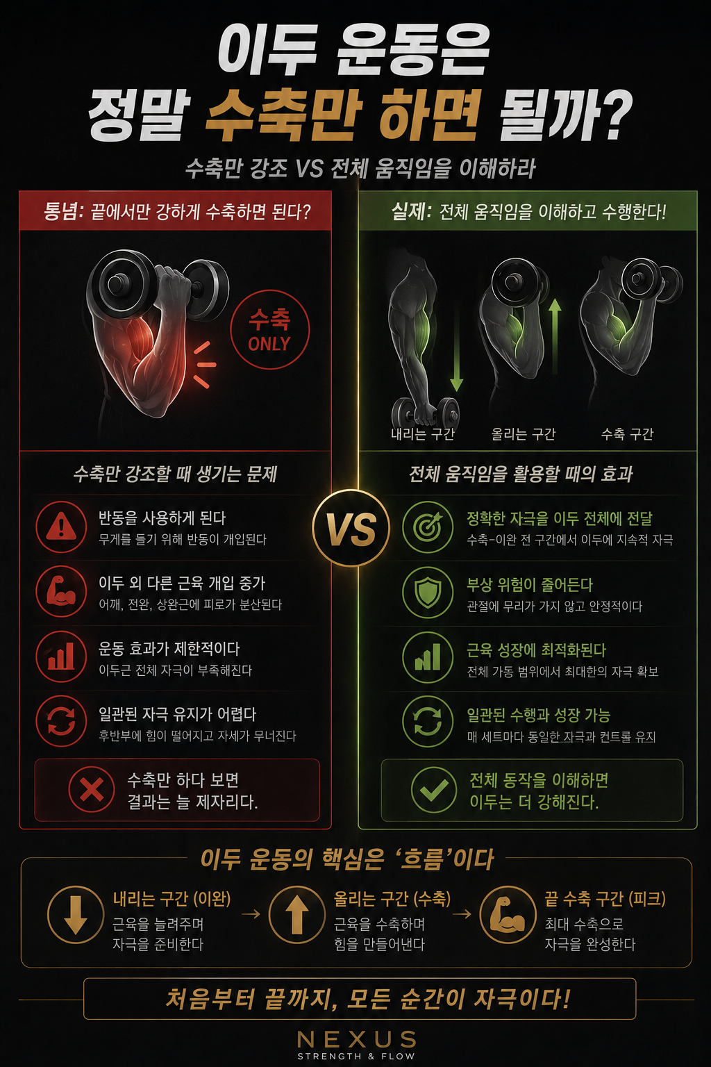 이두 운동은 정말 수축만 하면 될까