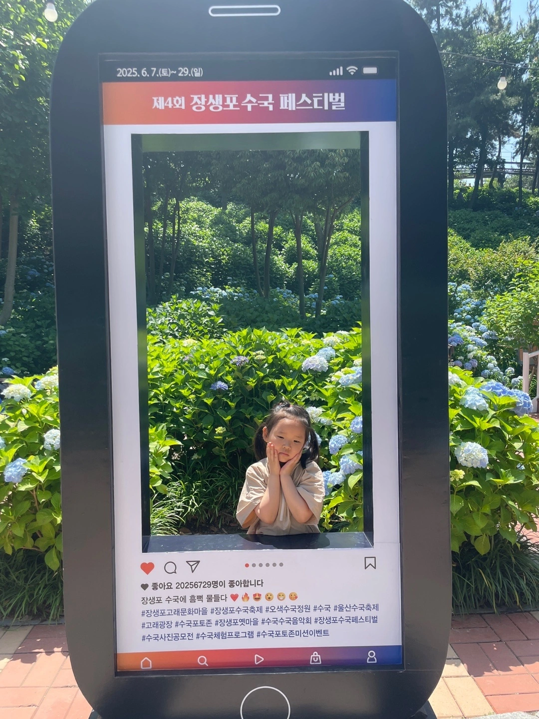 장생포 수국축제에서 여름을 만끽하다! 울산 고래문화마을 수국 명소 추천