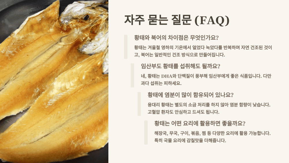 자주 묻는 질문 (FAQ)