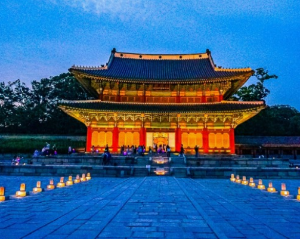고궁야간투어