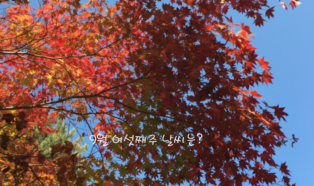 여섯째 주 (9월 30일 - 10월 6일)