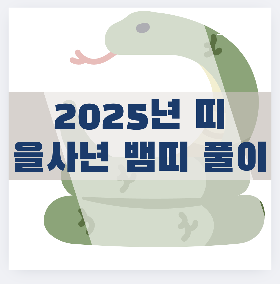 2025년 띠