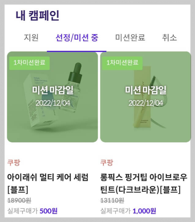 선정된 캠페인내역