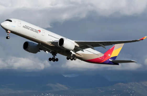 아시아나 마일리지 사용법