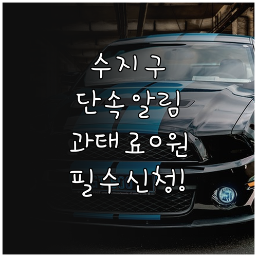 수지구 주정차 단속 문자 알림 신청 ..