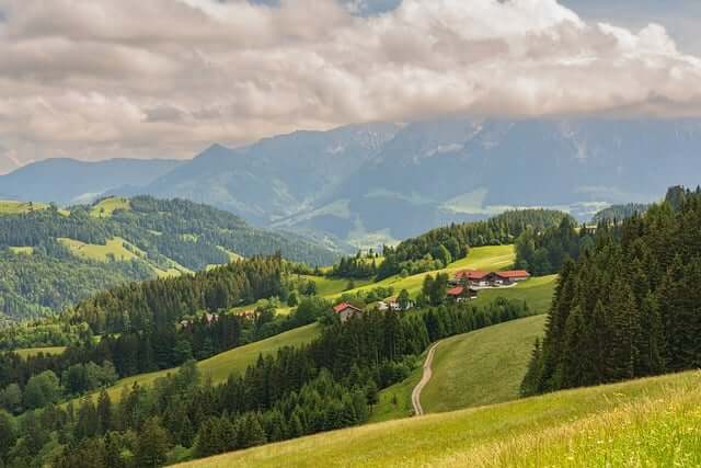 고요한 삶을 꿈꿨지만, 현실은 ‘시끄러운 시골’이었다