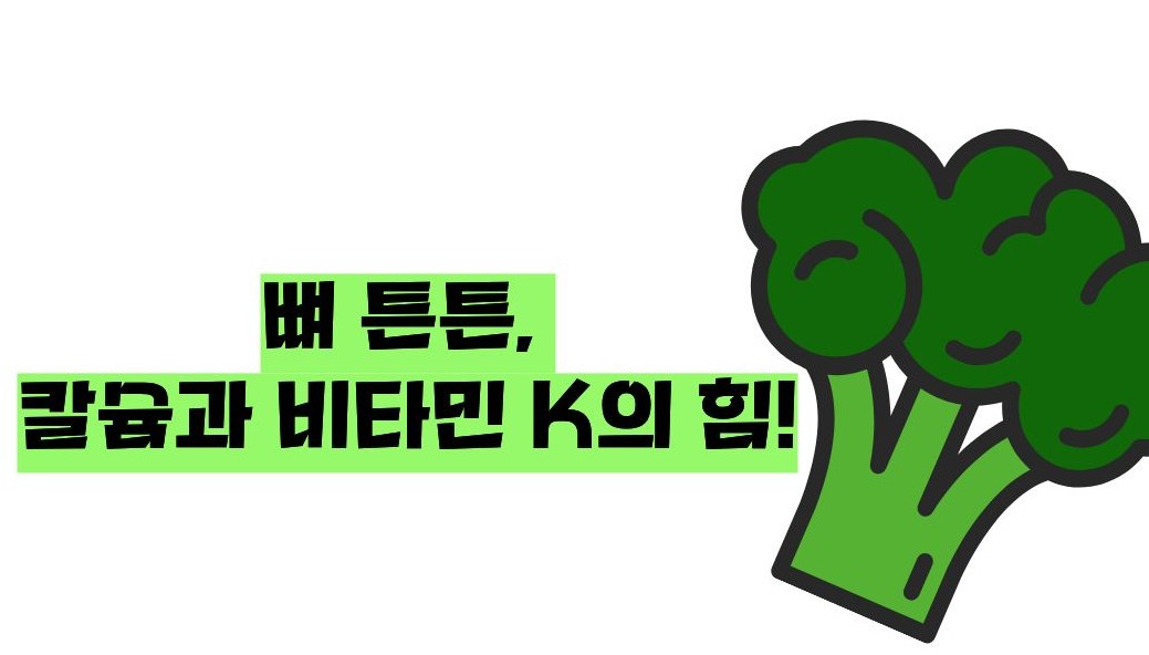 브로콜리 효능