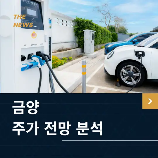 금양 주가 전망 및 분석