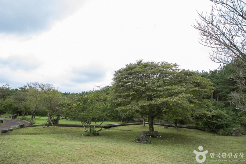 붉은오름 자연휴양림