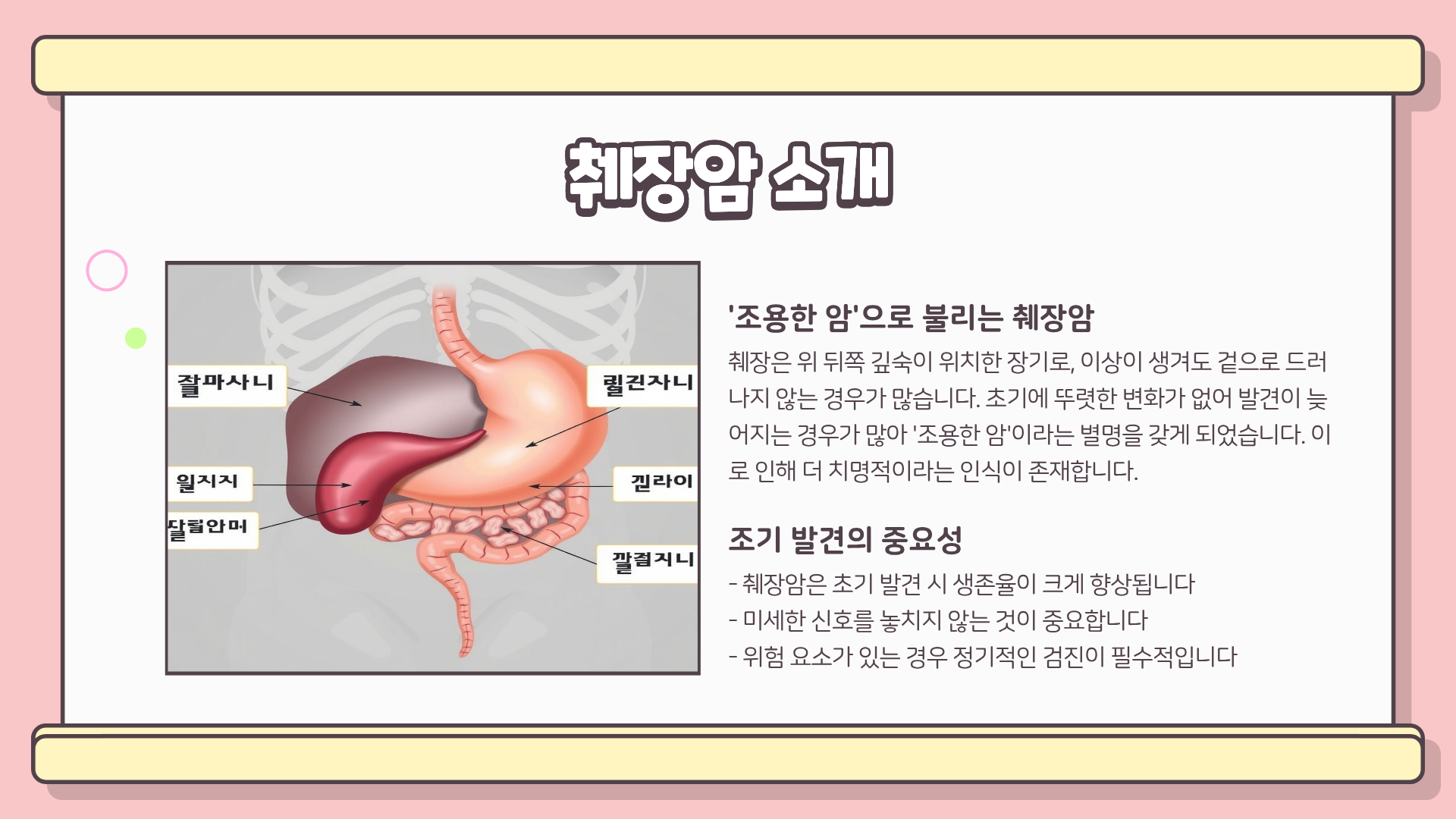 췌장암 초기증상 ❘ 췌장암 검사방법 ❘ 췌장암 통증 치료, 놓치면 늦는다… 병원에서도 말해주지 않는 정보