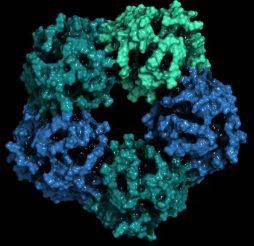 염증수치곤련 사진/출처:어도비스톡