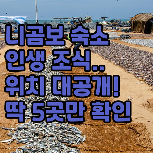 스리랑카 니곰보 숙소 추천 5곳 위치..