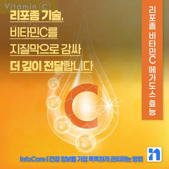 리포좀 비타민C 메가도스 효능