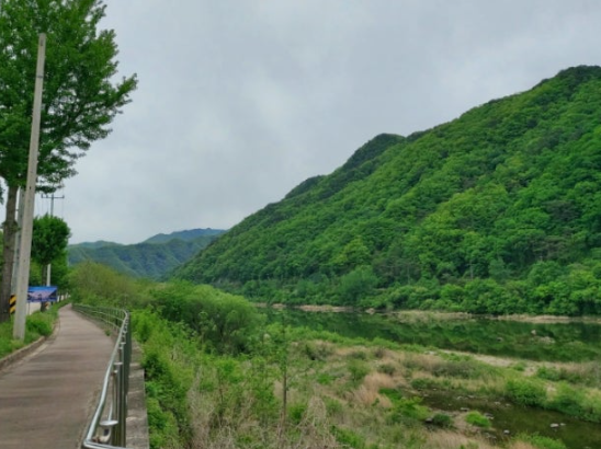 딴산폭포가는길