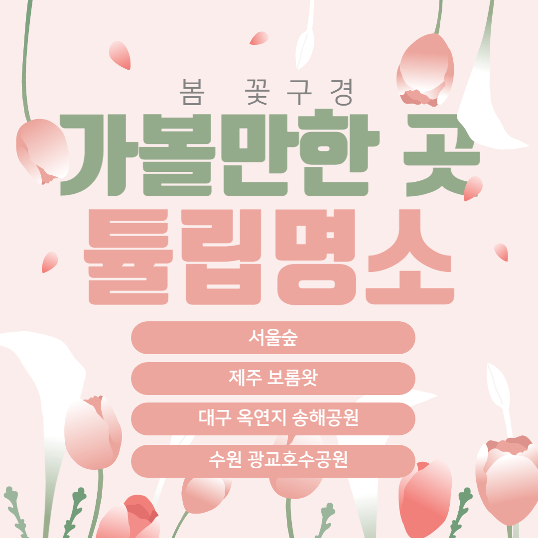 튤립 개화시기, 튤립명소 정보