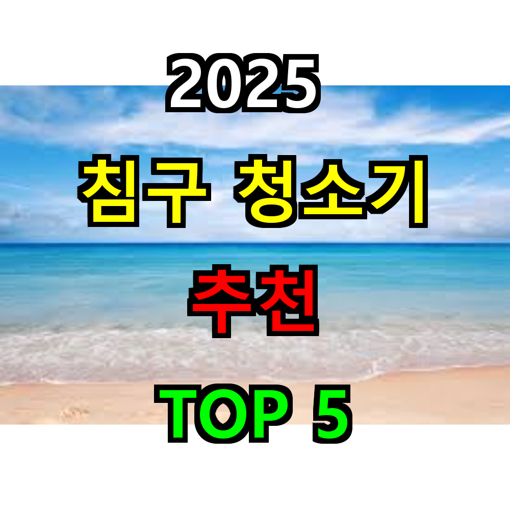 2025 침구청소기 추천 TOP 5