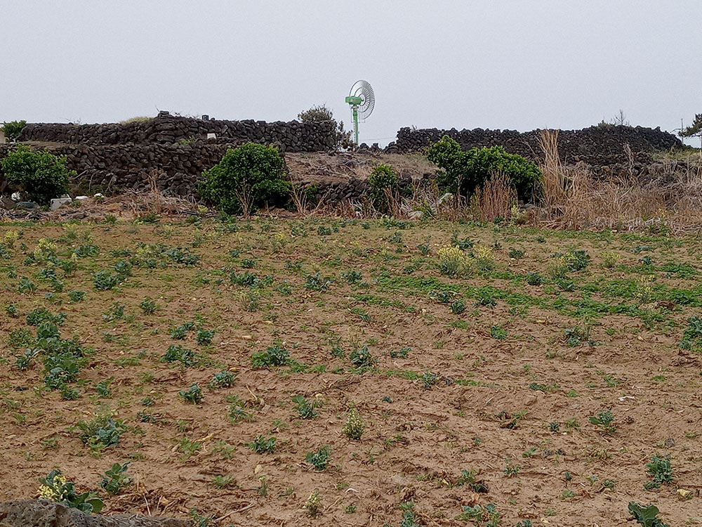 올레15A코스: 고내포구에서 한림항까지