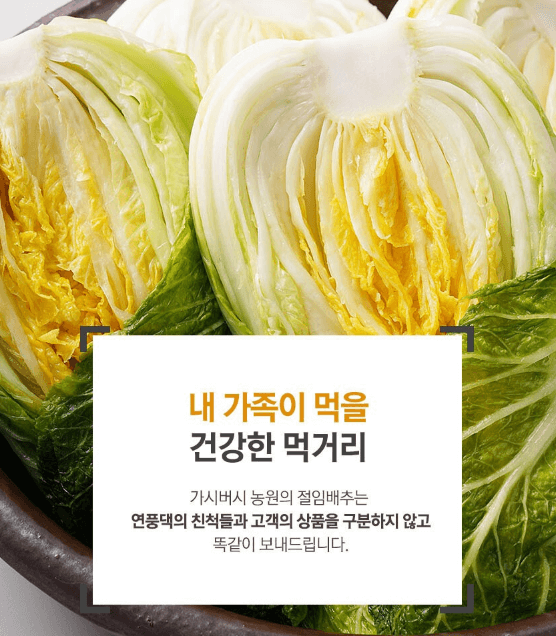 괴산 절임배추 20kg 사전예약 가격비교
