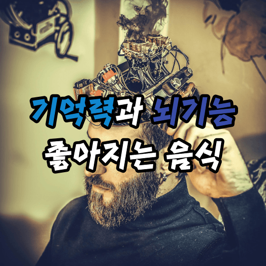 뇌에 좋은 음식