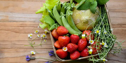 봄 식탁을 풍성하게 만드는 제철 식재료 밥상