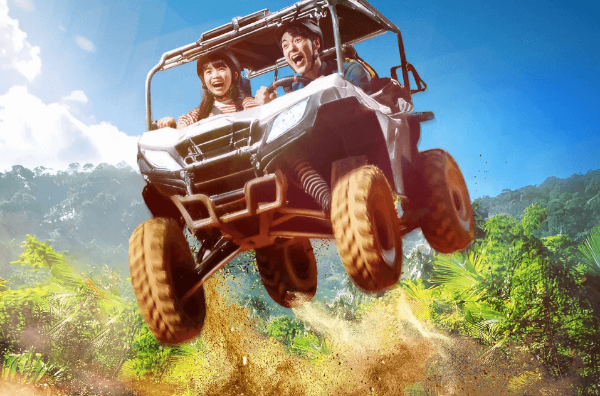정글리아 