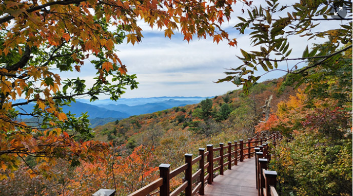 가을 여행 단풍이 아름다운 국내산 명소 BEST 05