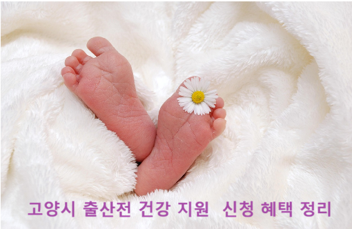 고양시 출산전 건강 지원 신청 혜택 정리