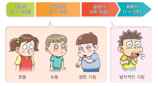 백일해 예방접종 병원 조회 및 비용 미리 확인