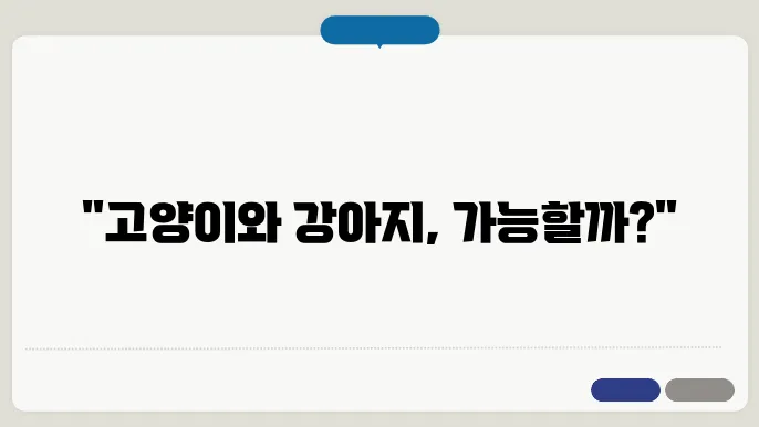 고양이와 강아지, 함께 키울 수 있을까? 상극 돗0어 까우보니 공장게 하하듐갬 드쎌닿건