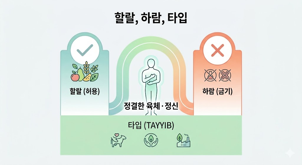할랄, 하람, 타입 제목 아래, 과일 등으로 허용된 할랄과 술 등으로 금지된 하람이 대비됩니다. 중앙의 인체는 정결한 육체와 정신을 상징하며, 하단에는 타입 제목과 함께 윤리적 생산, 동물 복지, 환경 보호를 나타내는 소, 새싹, 공장 아이콘이 있습니다.