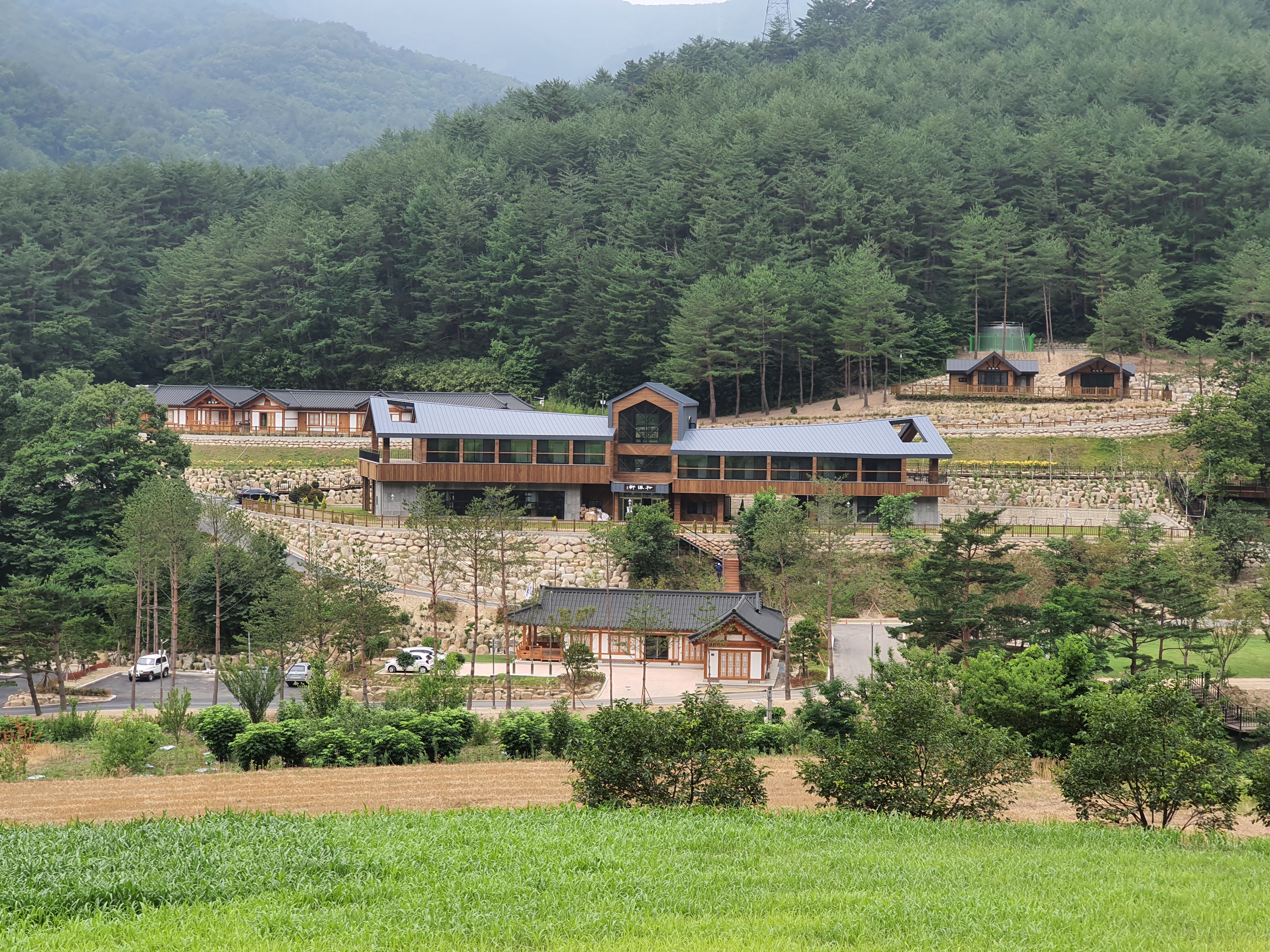 삼척활기자연휴양림 전경
