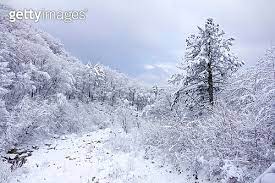 겨울여행 떠나고 싶은 곳 베스트 1. 설악산