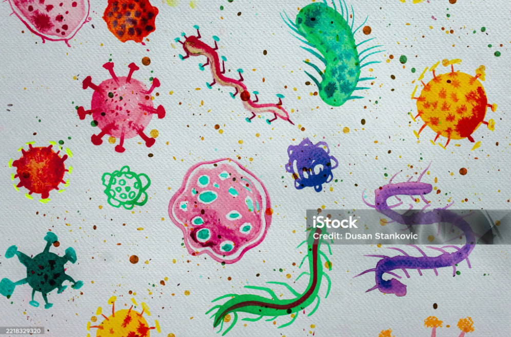 Ureaplasma urealyticum(유레아플라즈마) 감염 , 임산부에게 특히 위험하다.